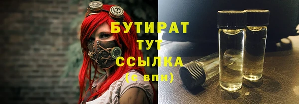 индика Новодвинск